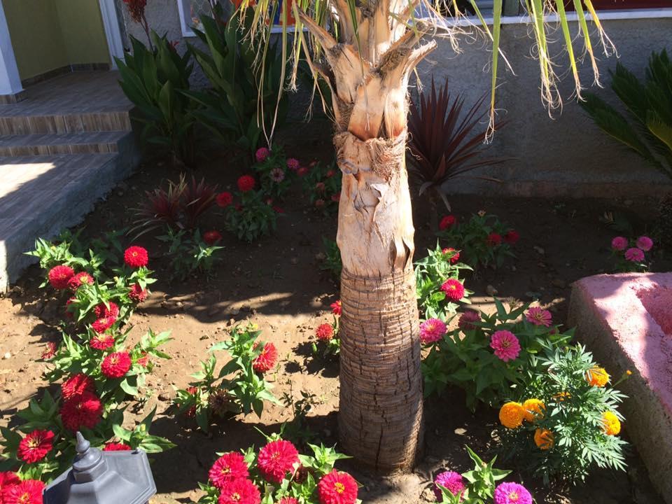 Esmeralda Apart Butik Otel Kızılot Esterno foto