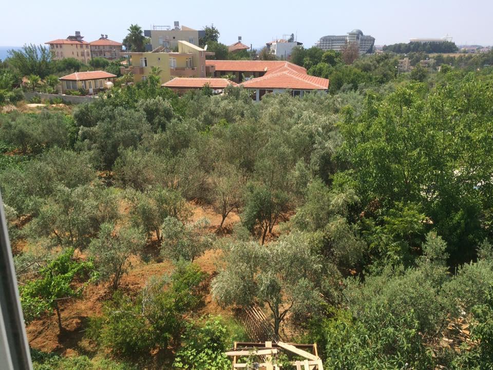 Esmeralda Apart Butik Otel Kızılot Esterno foto